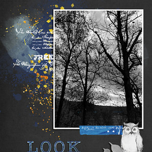 Nov18_TechniqueSlowScrap_flowersgal_web