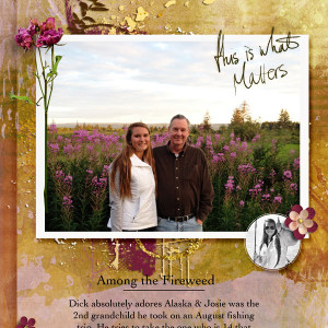 Nov-20-Among-the-Fireweed