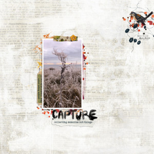 Capture