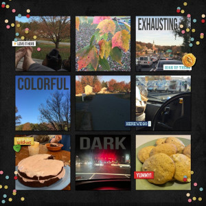 11sahlin-november
