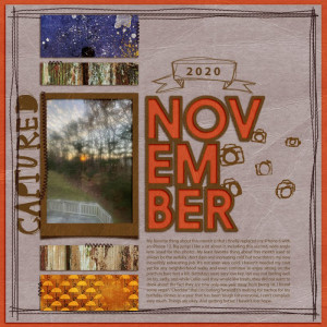 Lbw_November2020_tp