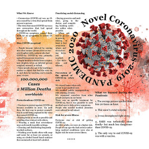 2020 Pandemic -A Synopsis