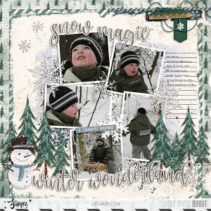 Winter Wonderland