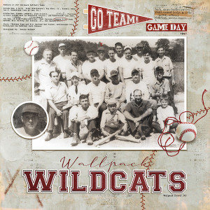 Wallpack Wildcats
