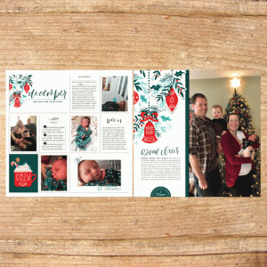 Alice's Baby Book December