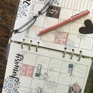 Planner January