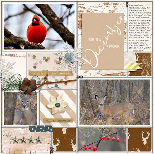 December Stories