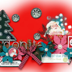 Chrismas Siggie-1