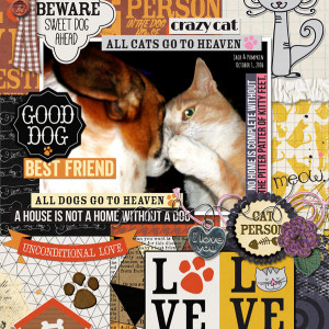Little-Butterfly-Wings_2020-11_November_CM_1130_All-Cats-&-Dogs-Go-To-Heaven_web