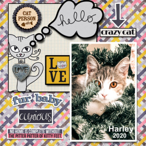LBW-All Cats Go To Heaven