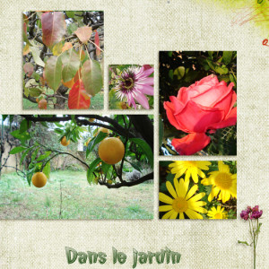 In the Garden