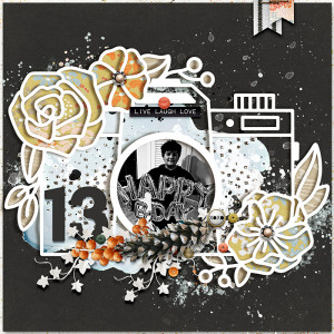 13