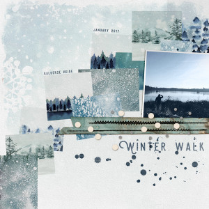Winter Walk