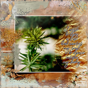 Evergreens