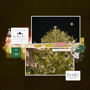201201_Lug Tree1