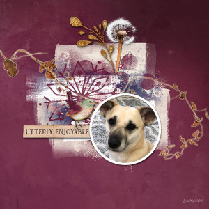 Scraplift_utterlyenjoyable