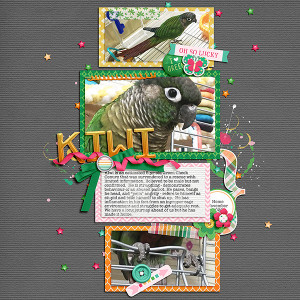 KIWI
