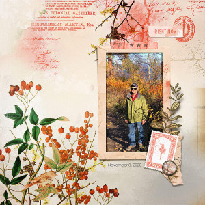 Fall Walk