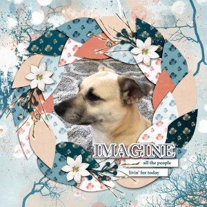 BYOC_imagine