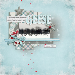 Geese