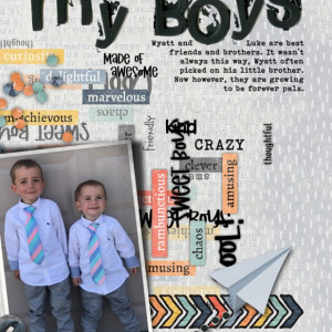My Boys (Grandkids)