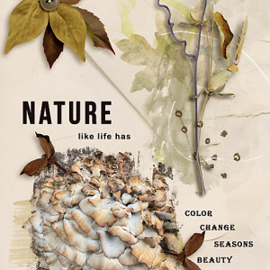 Dec2020_RJefferies-Chall_flowersgal_web