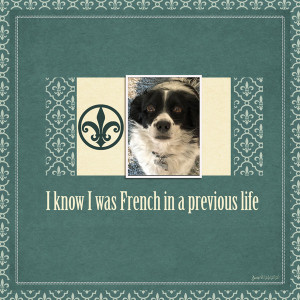 Sahlinstudio_french