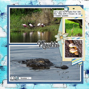 Myakka River State Park_left