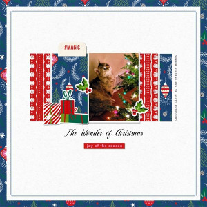 The Wonder Of Christmas
