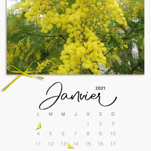 Janvier 2021