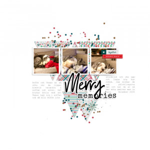 Merry Memories