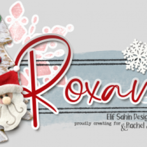 Siggie Dec. 2020 - Small