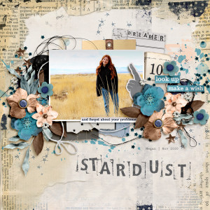 stardust