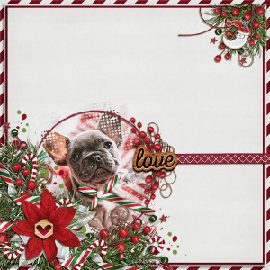 CHRISTMAS LOVE
