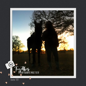 TLP-PhotoChall-dec2020