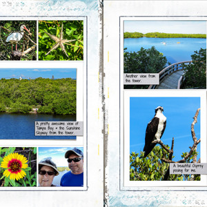 Robinson Preserve