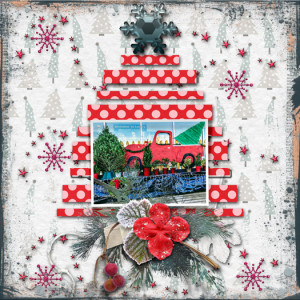 December FDD Challenge