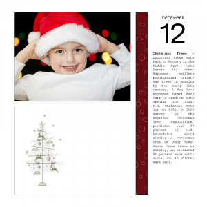 2020.12.12-DYD12a