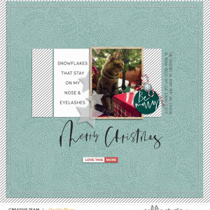 Jan - Favorite Things Dec Template