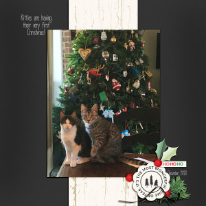 TLP-RandomChall_Dec2020