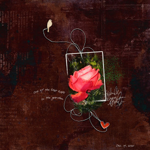 Rose