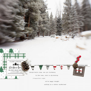 2020.12.00-winter