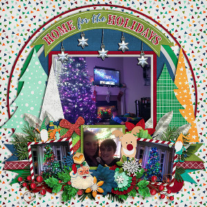 Home for the Holidays