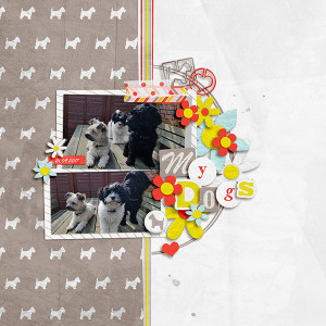 My Dogs