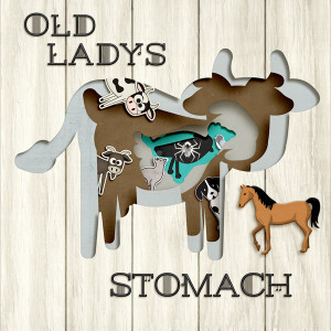 Old Lady Who Swallowed a Fly