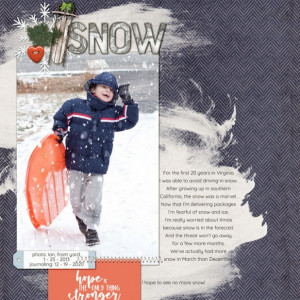 12ss-snow