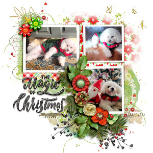 The Magic Of Christmas