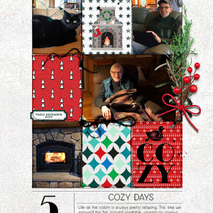 Dec 5 Cozy