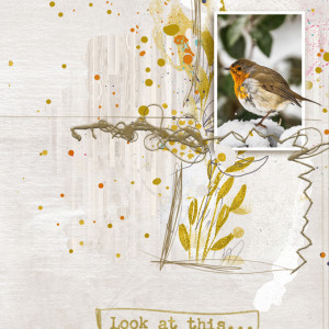 Bird
