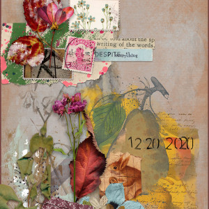 12 December 2020